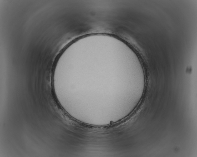 X0000091881220200710031735