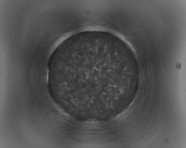 X0000091881221200710031735