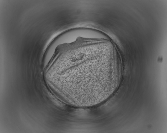 X0000091881224200710031735