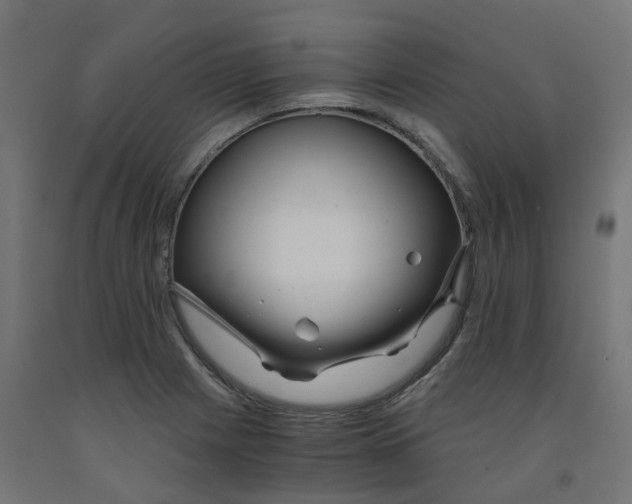 X0000091881225200710031735