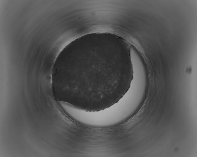 X0000091881226200710031735