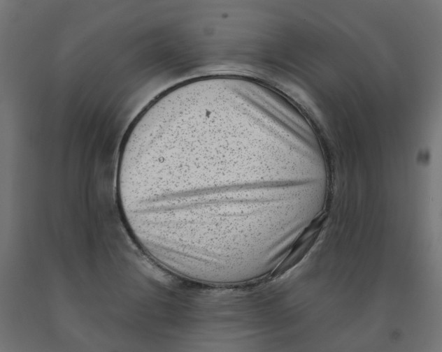 X0000091881228200710031735