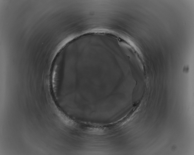 X0000091881229200710031735