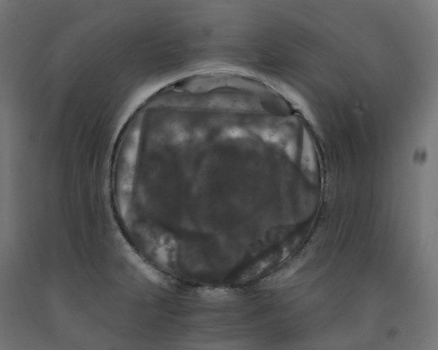 X0000091881231200710031735