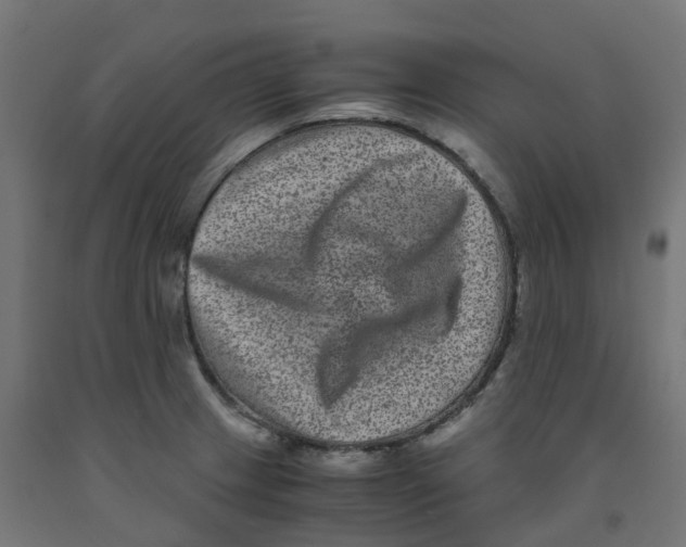 X0000091881233200710031735