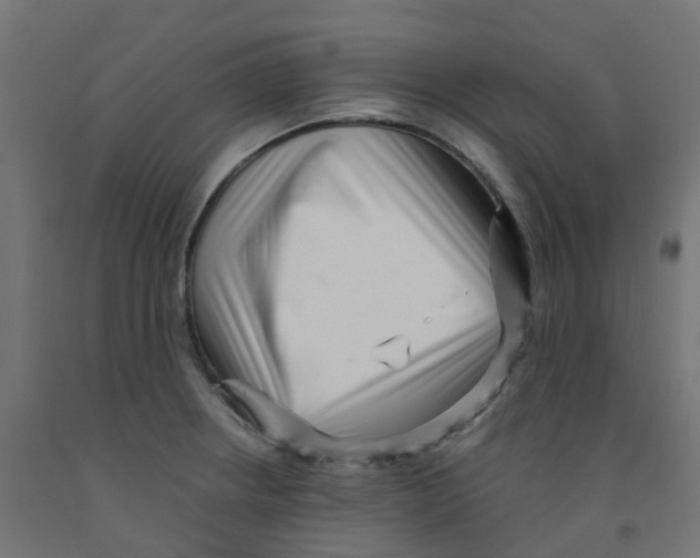 X0000091881234200710031735