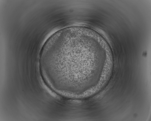 X0000091881235200710031735