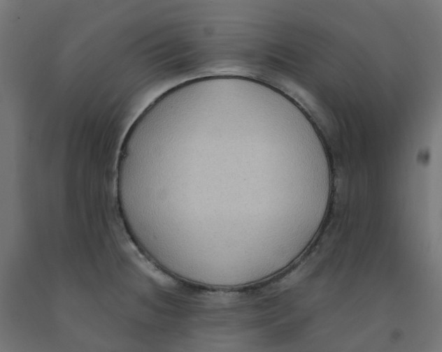 X0000091881236200710031735