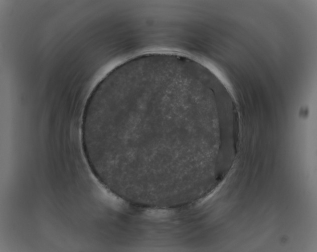 X0000091881237200710031735