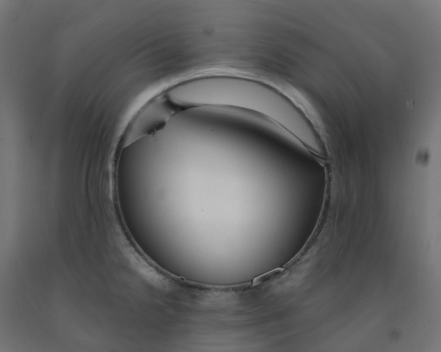 X0000091881238200710031735