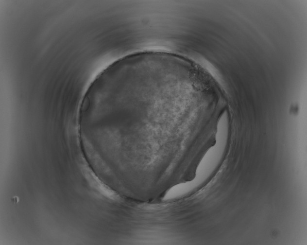 X0000091881240200710031735