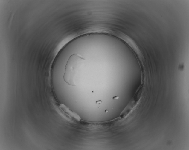 X0000091881242200710031735