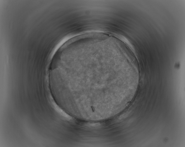 X0000091881243200710031735