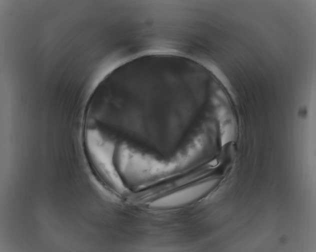 X0000091881245200710031735