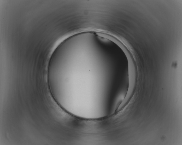 X0000091881246200710031735