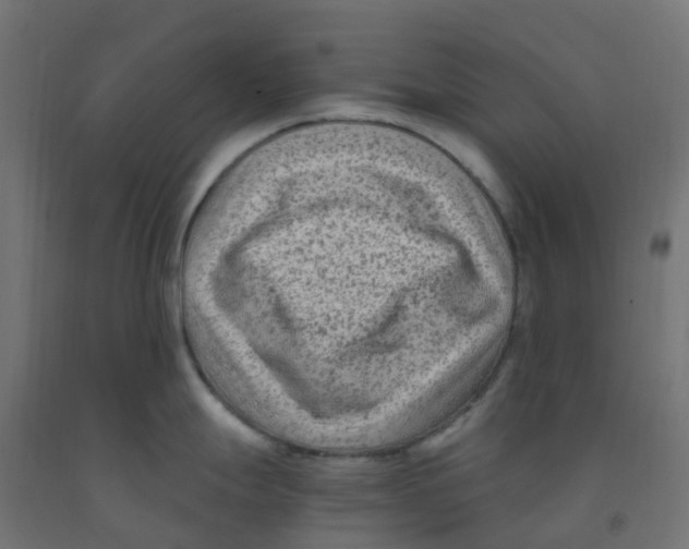 X0000091881247200710031735