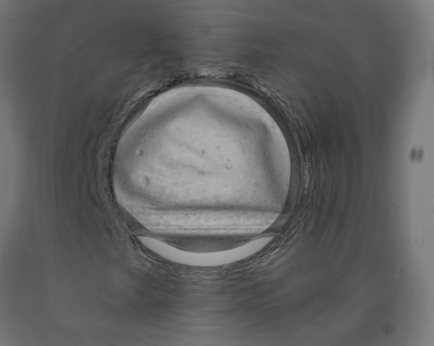 X0000091881249200710031735