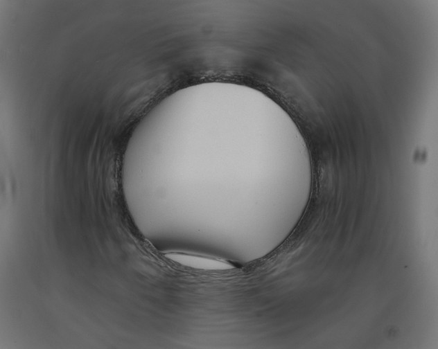 X0000091881250200710031735