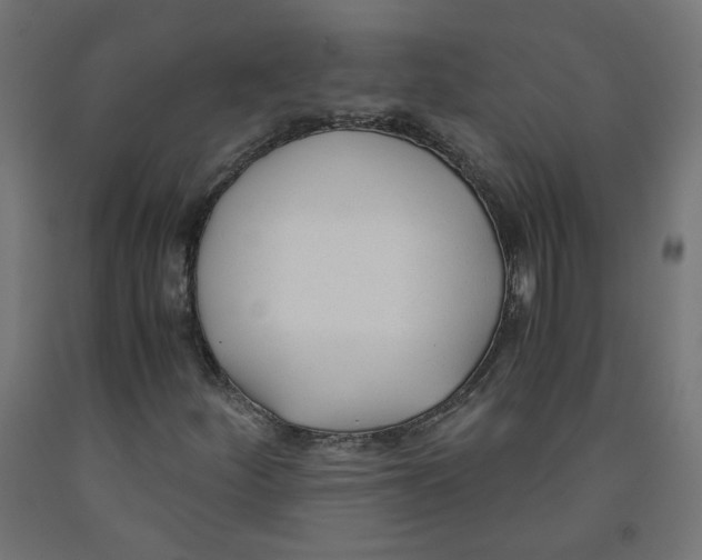 X0000091881252200710031734