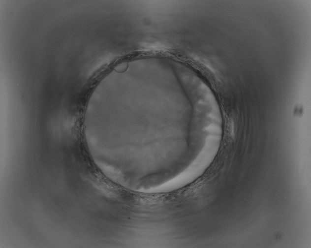 X0000091881254200710031734