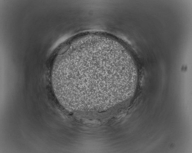 X0000091881255200710031734