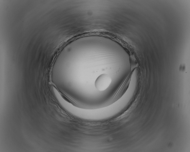 X0000091881257200710031734