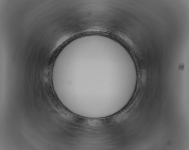 X0000091881258200710031734