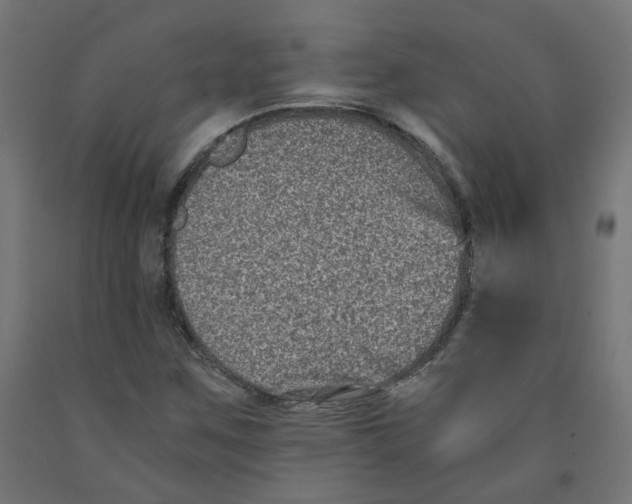 X0000091881259200710031734