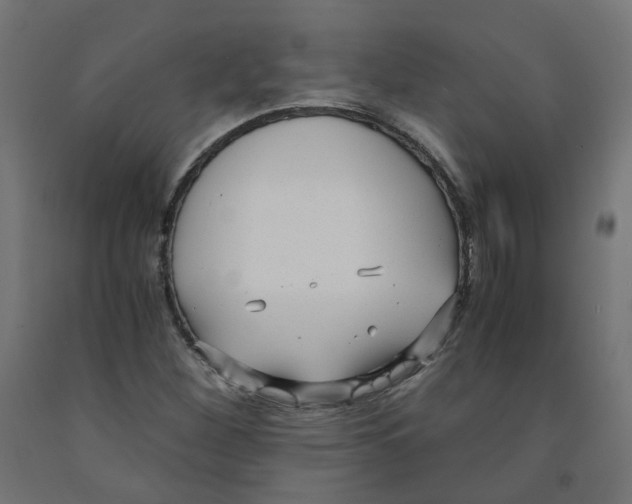 X0000091881260200710031734