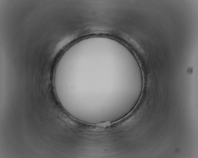 X0000091881261200710031734