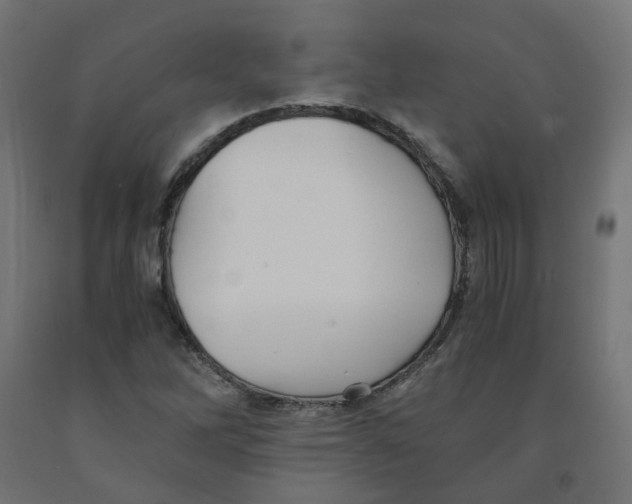 X0000091881262200710031734