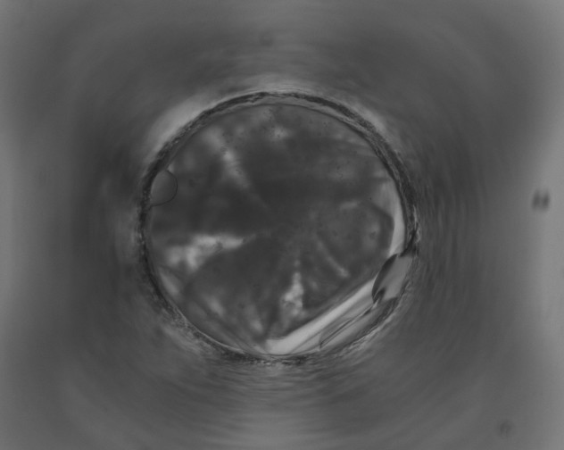 X0000091881263200710031734