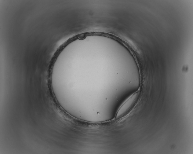 X0000091881264200710031734