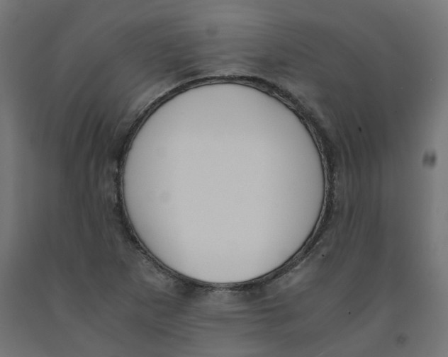 X0000091881265200710031734