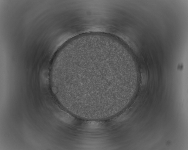 X0000091881266200710031734