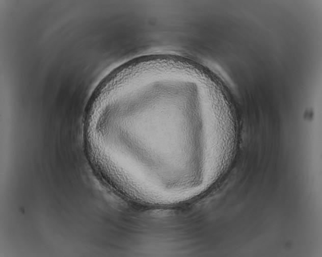 X0000091881268200710031734