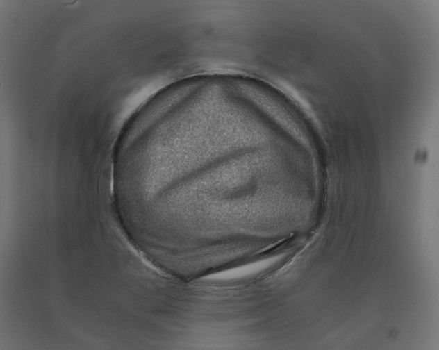 X0000091881269200710031734