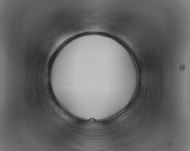 X0000091881270200710031734