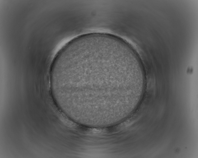 X0000091881271200710031734