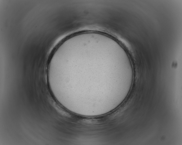 X0000091881272200710031734