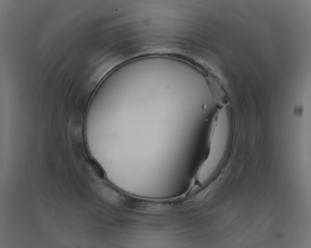 X0000091881273200710031734