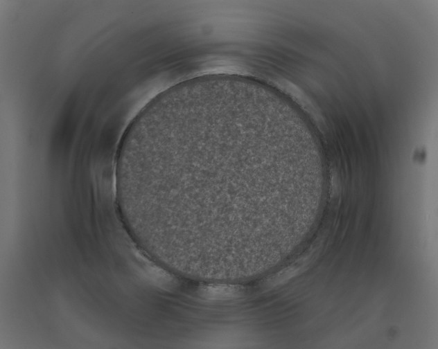 X0000091881274200710031734