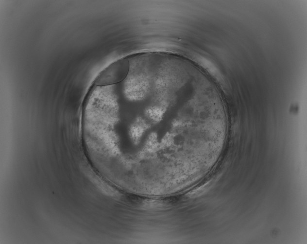 X0000091881275200710031734