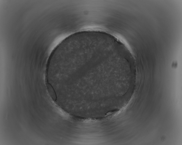 X0000091881277200710031734