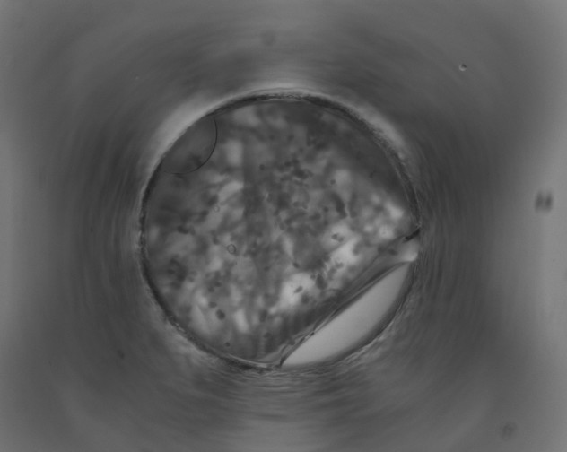 X0000091881279200710031734