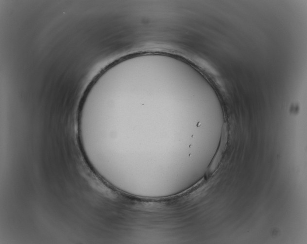 X0000091881280200710031734