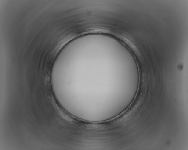 X0000091881281200710031734