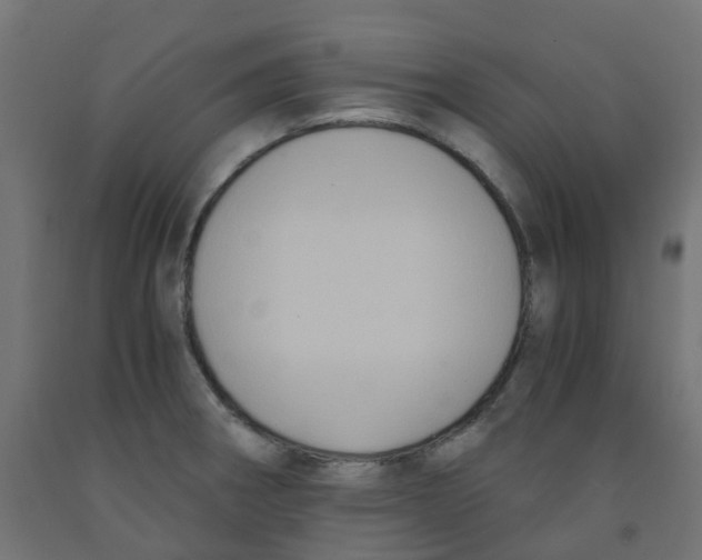 X0000091881282200710031734