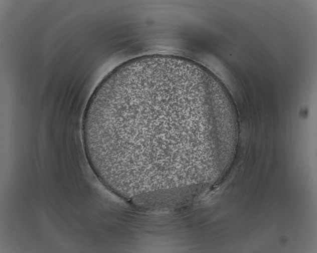 X0000091881283200710031734