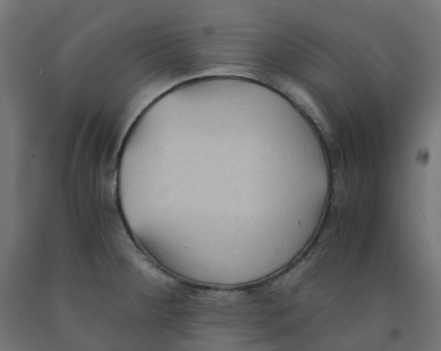 X0000091881284200710031734